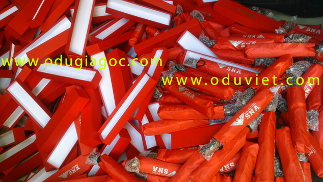 truc_tiep_san_xuat_du_gap_3_tu_dong_2_chieu_hop_giay_my_thuat_in_logo_SNA_International_Schools_of_North_America_17